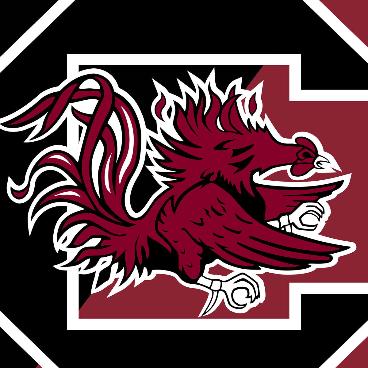 Carolina Gamecocks Graphic