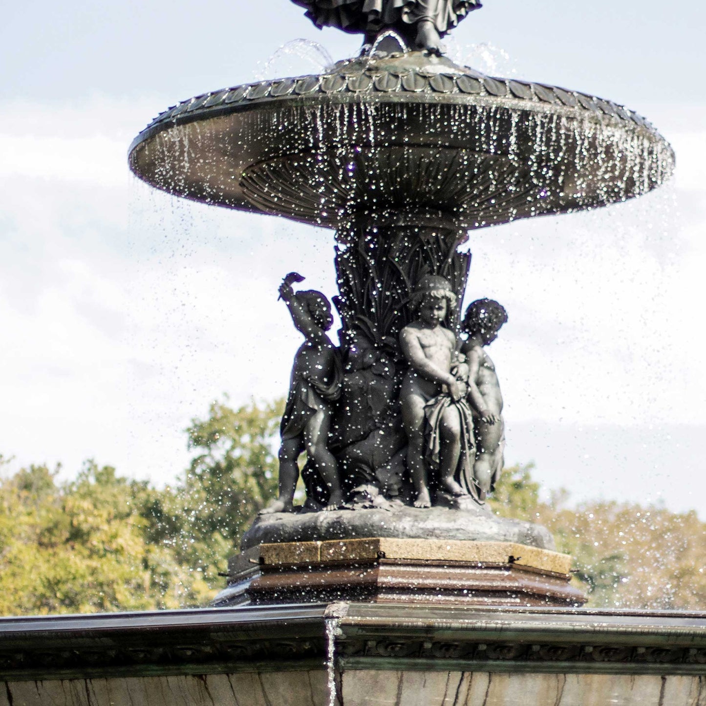 Central Park Serenity