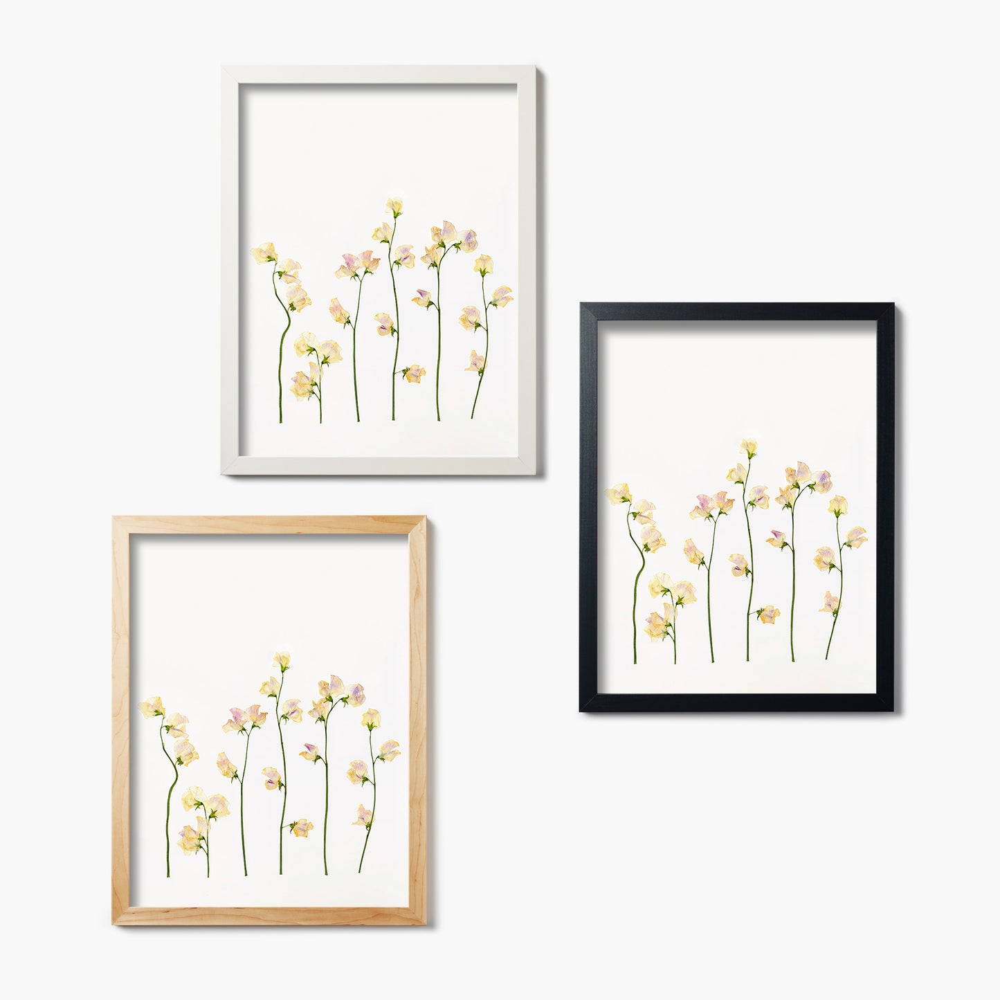 Apri Sweet Pea Pressed Floral Print
