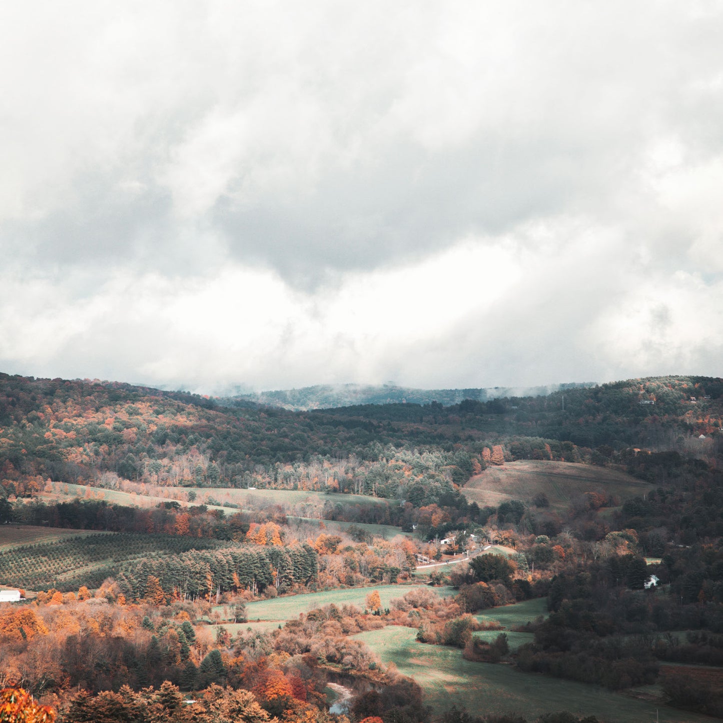 Autumn Hills II