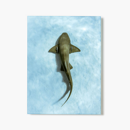 Beneath The Surface