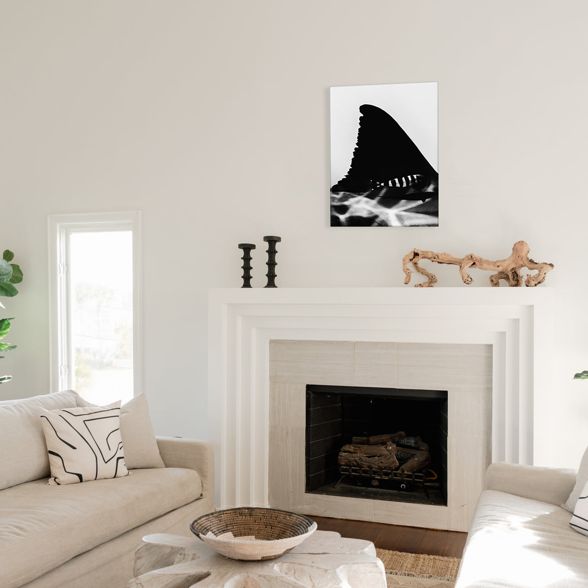 Black And Great White