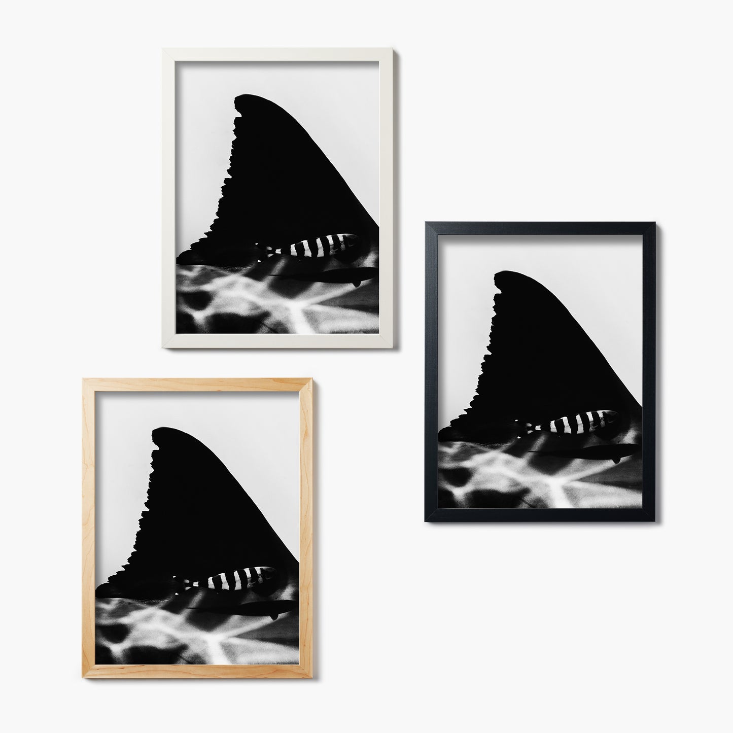 Black And Great White