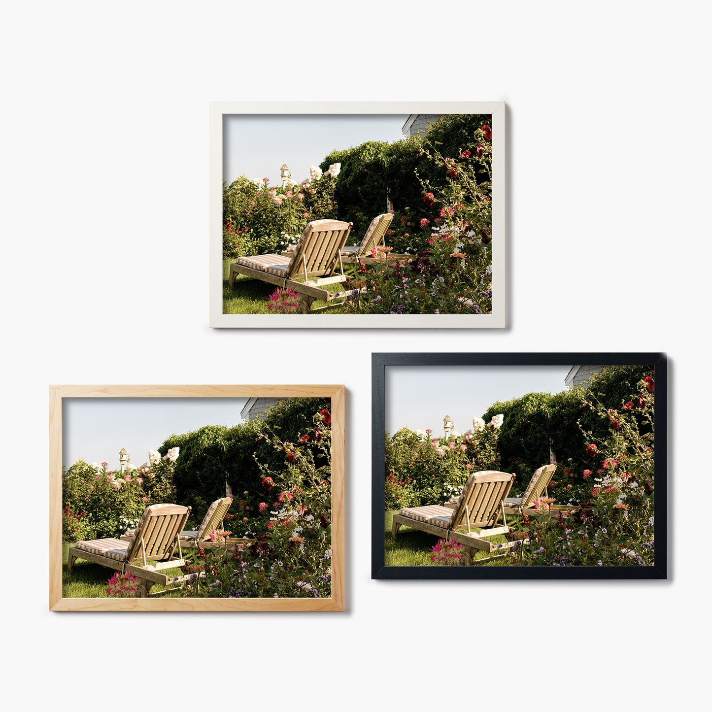 Blooms And Breeze
