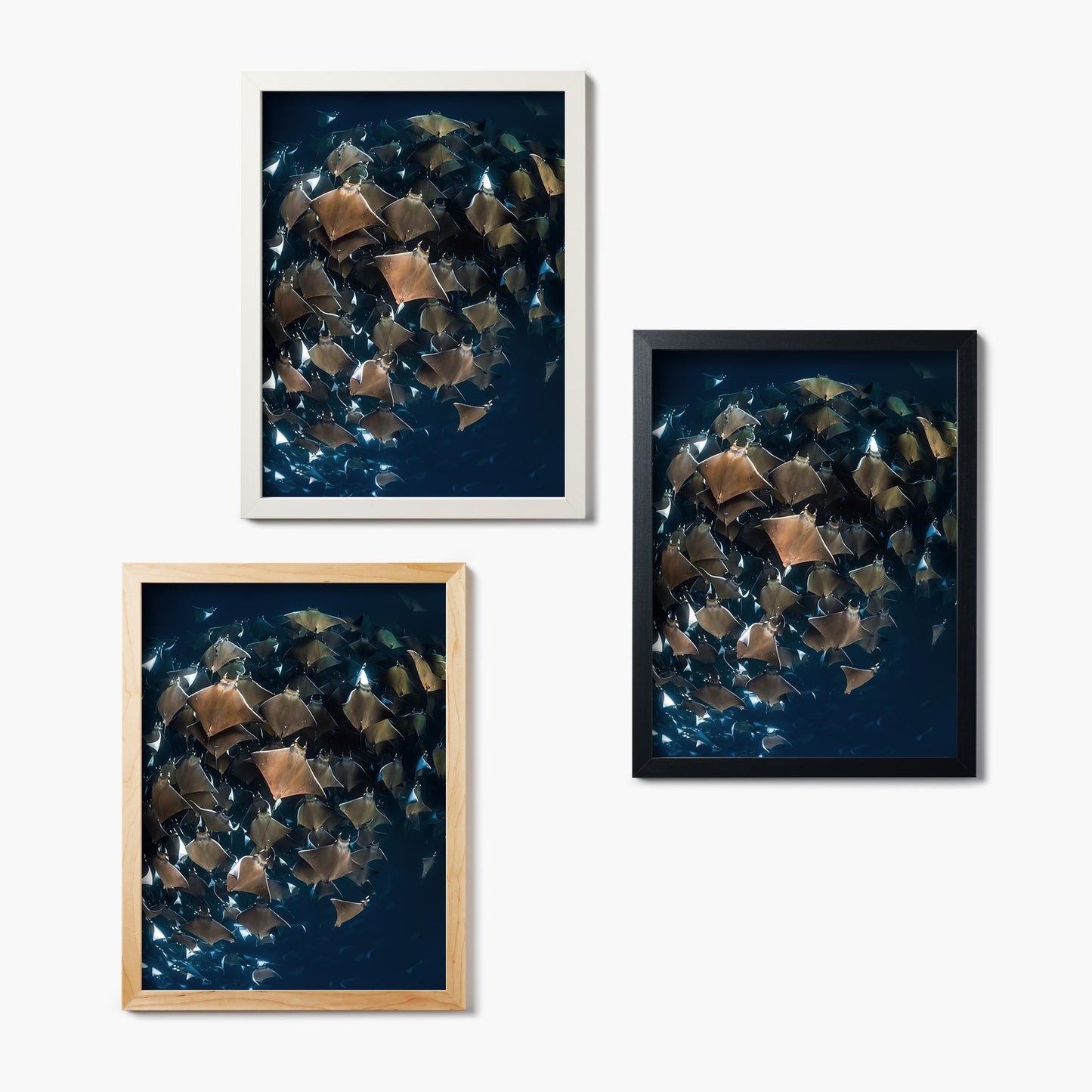 Blue Ballet