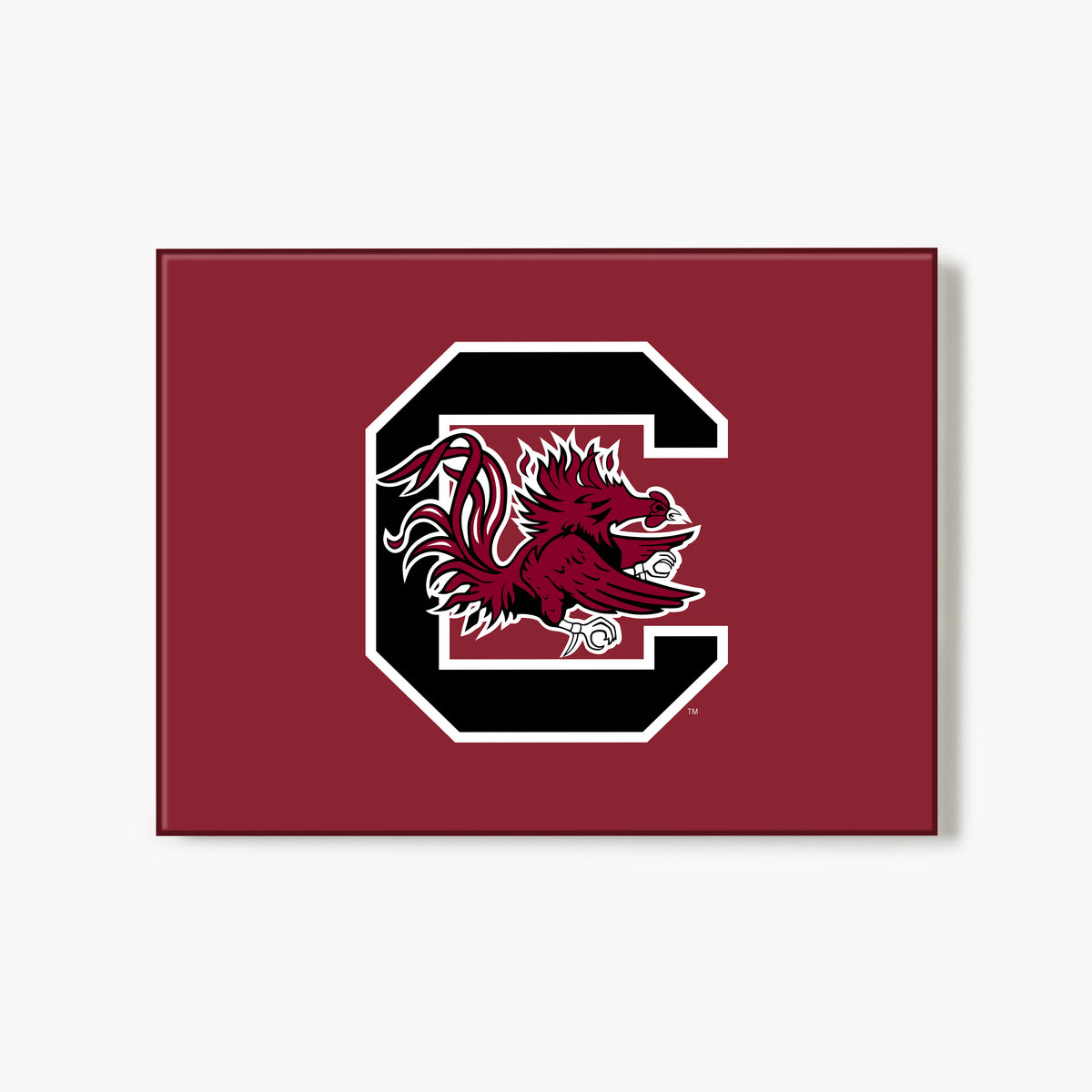 Carolina Gamecocks