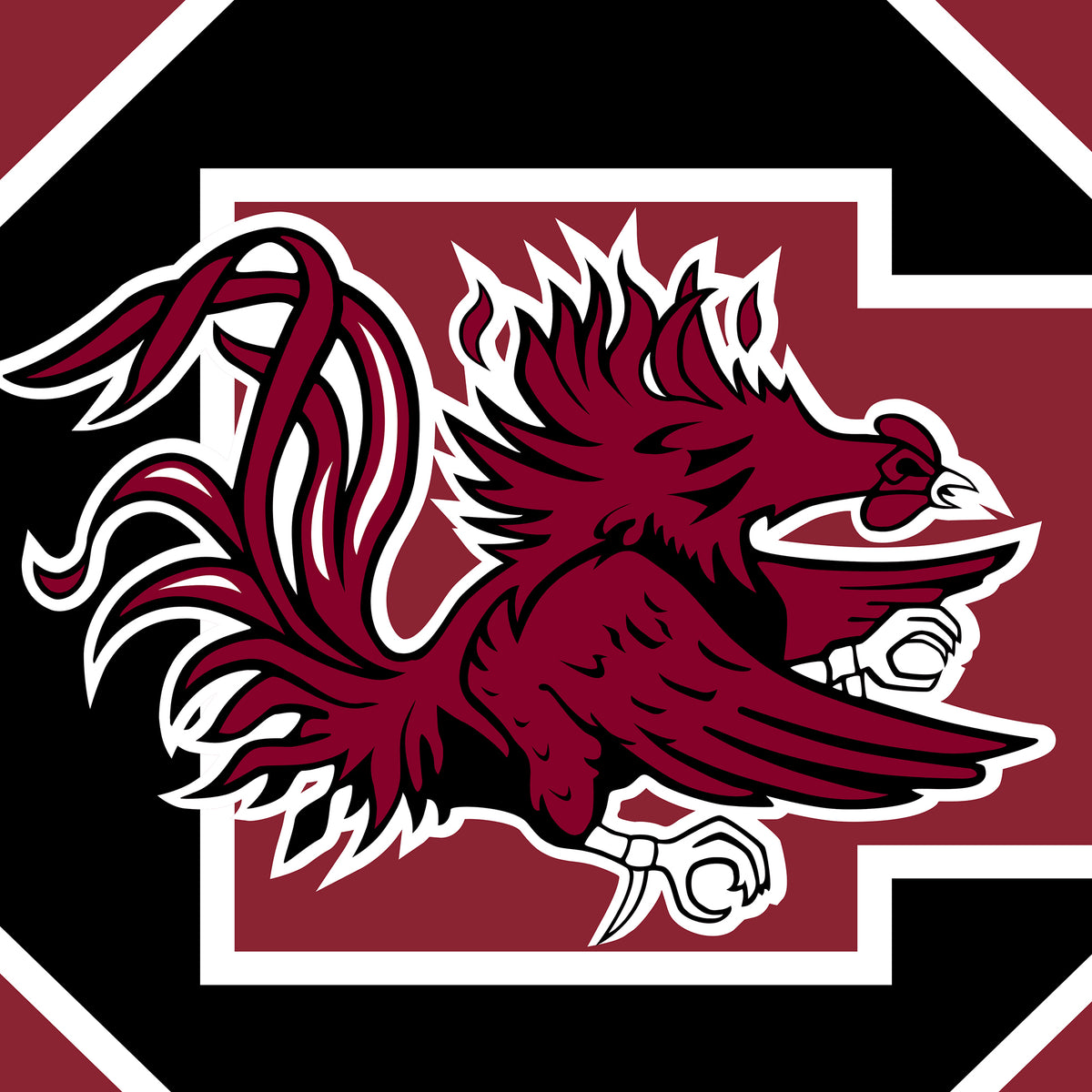 Carolina Gamecocks
