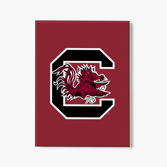 Carolina Gamecocks