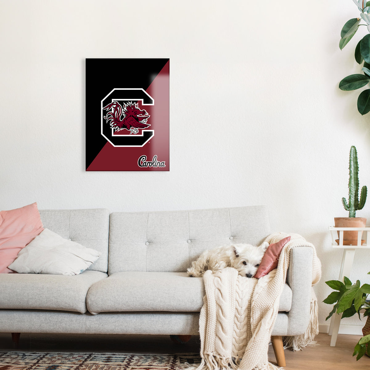 Carolina Gamecocks Graphic