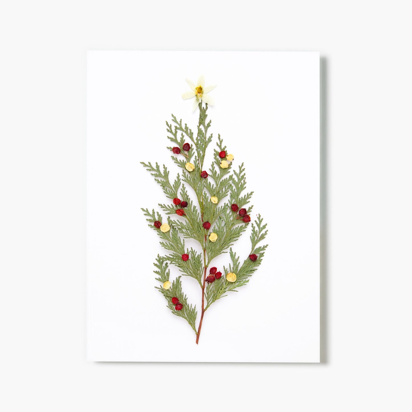 Christmas Tree Pressed Floral Print