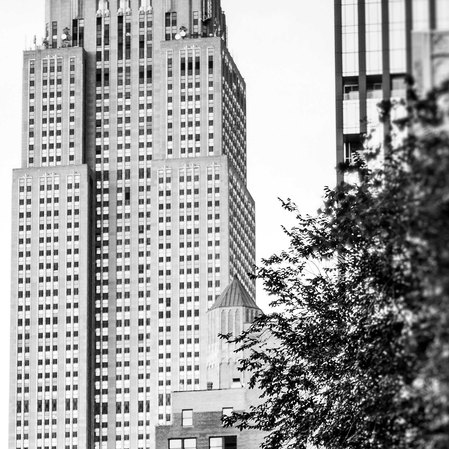 City Heartbeat