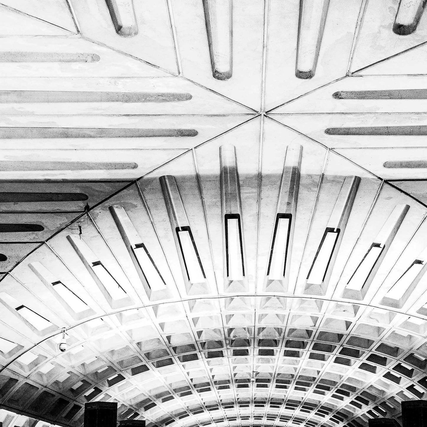 DC In Motion