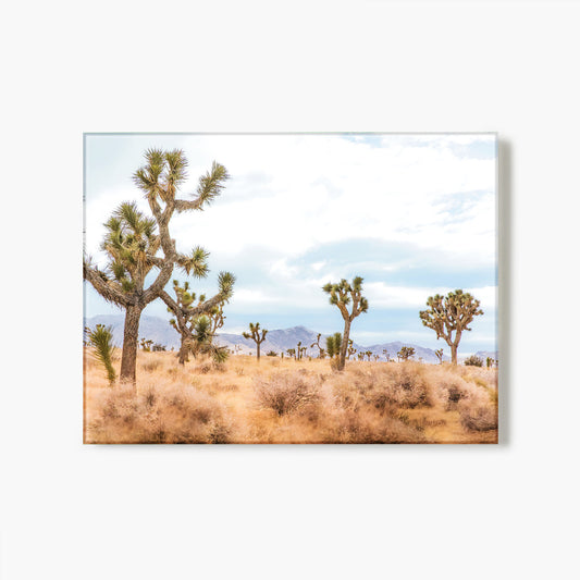Desert Blue