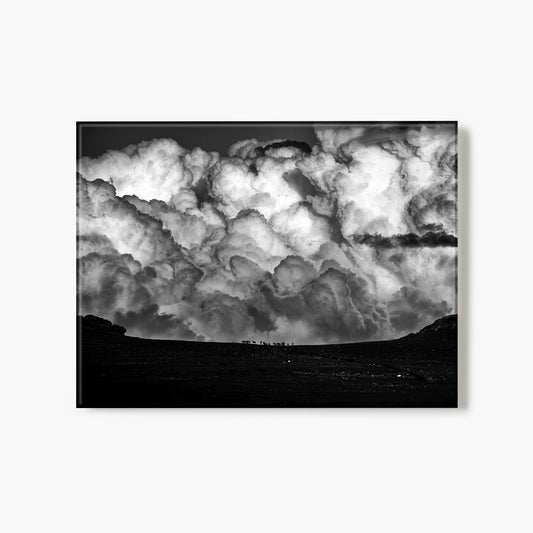 Elk In The Clouds