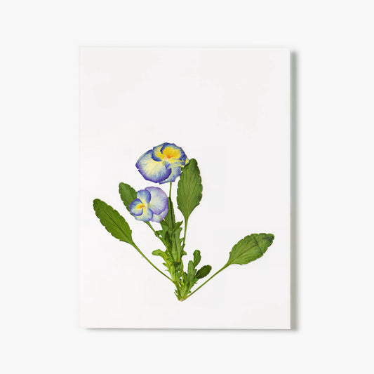 February Violet Pressed Floral Print