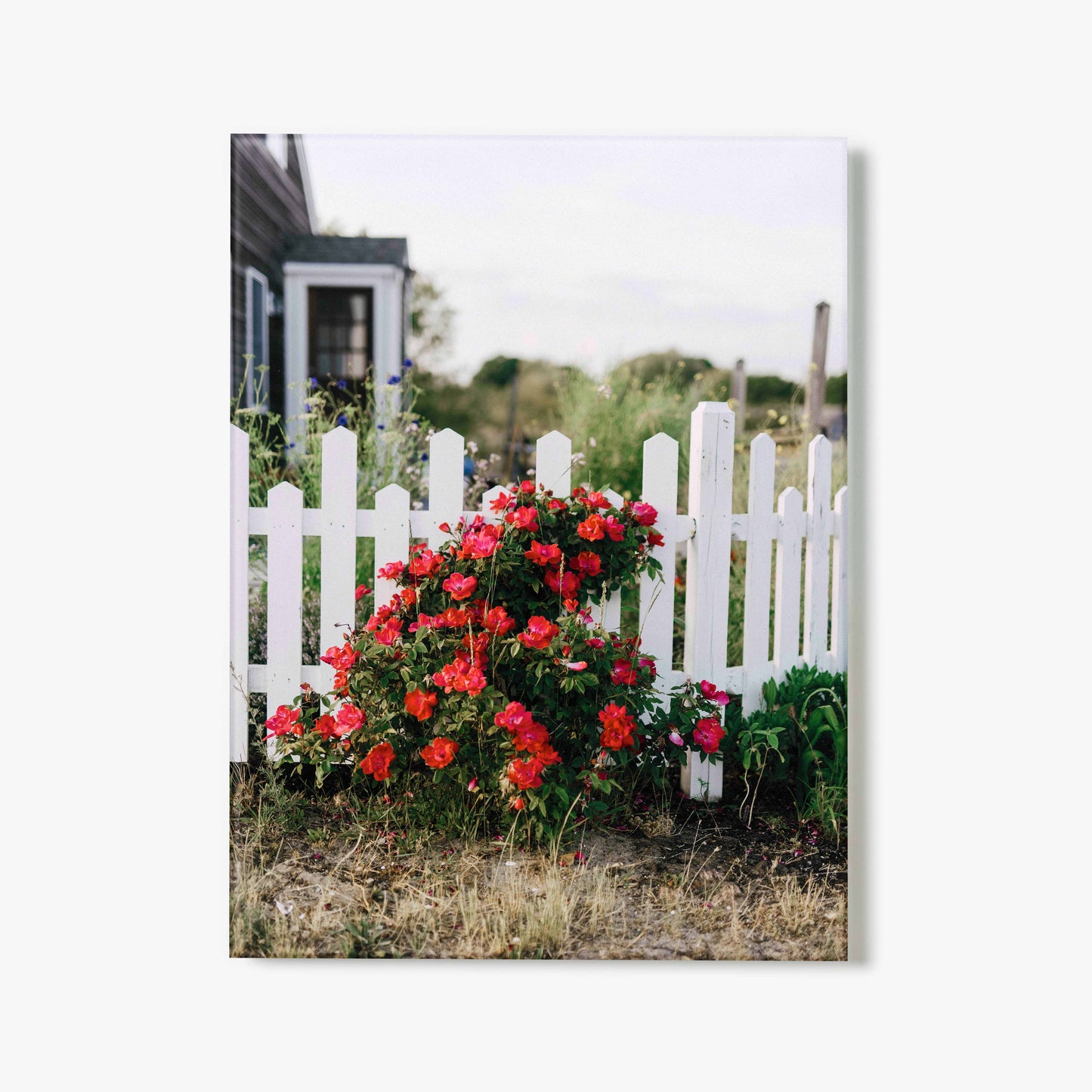 Fence and Flora