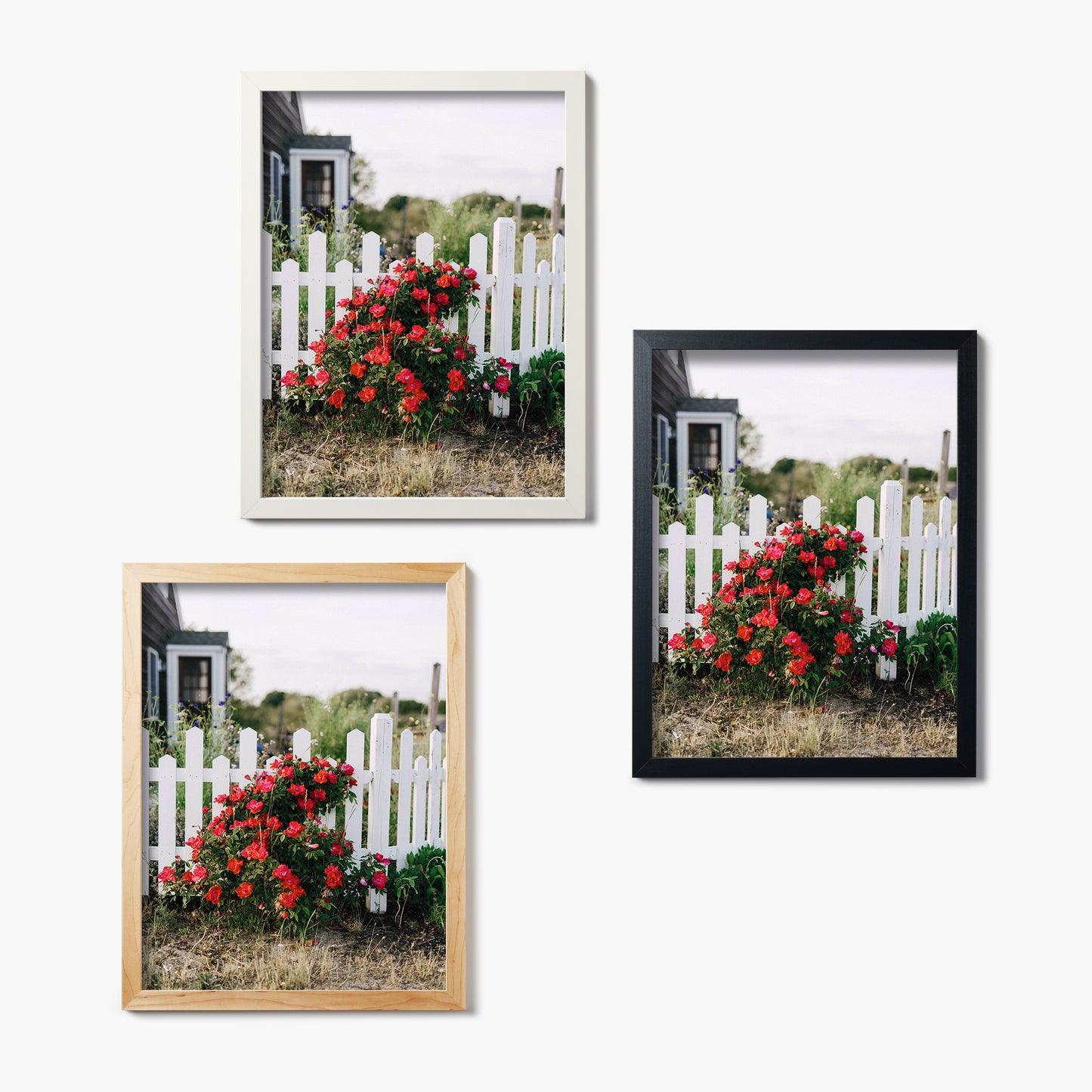 Fence and Flora