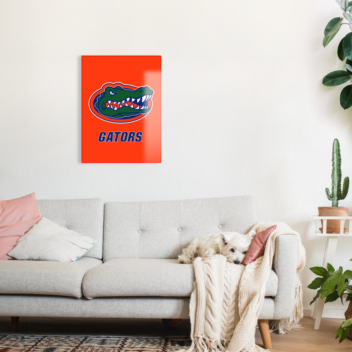Florida Gators