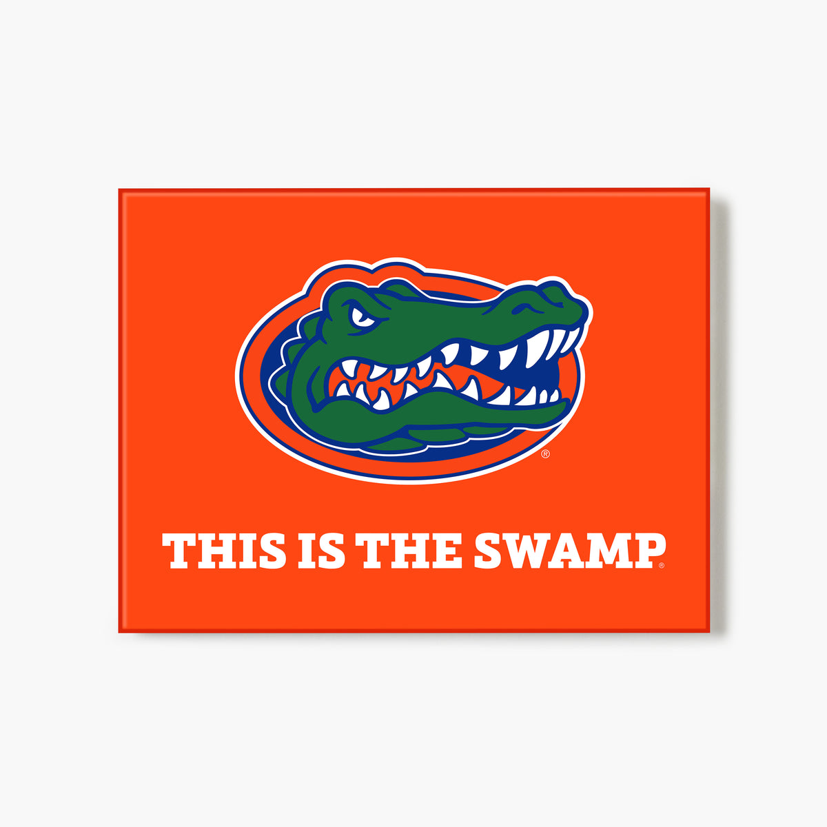 Florida This Is The Swamp