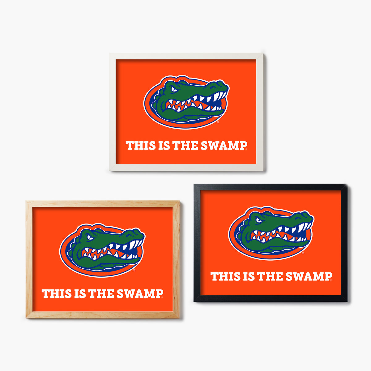 Florida This Is The Swamp