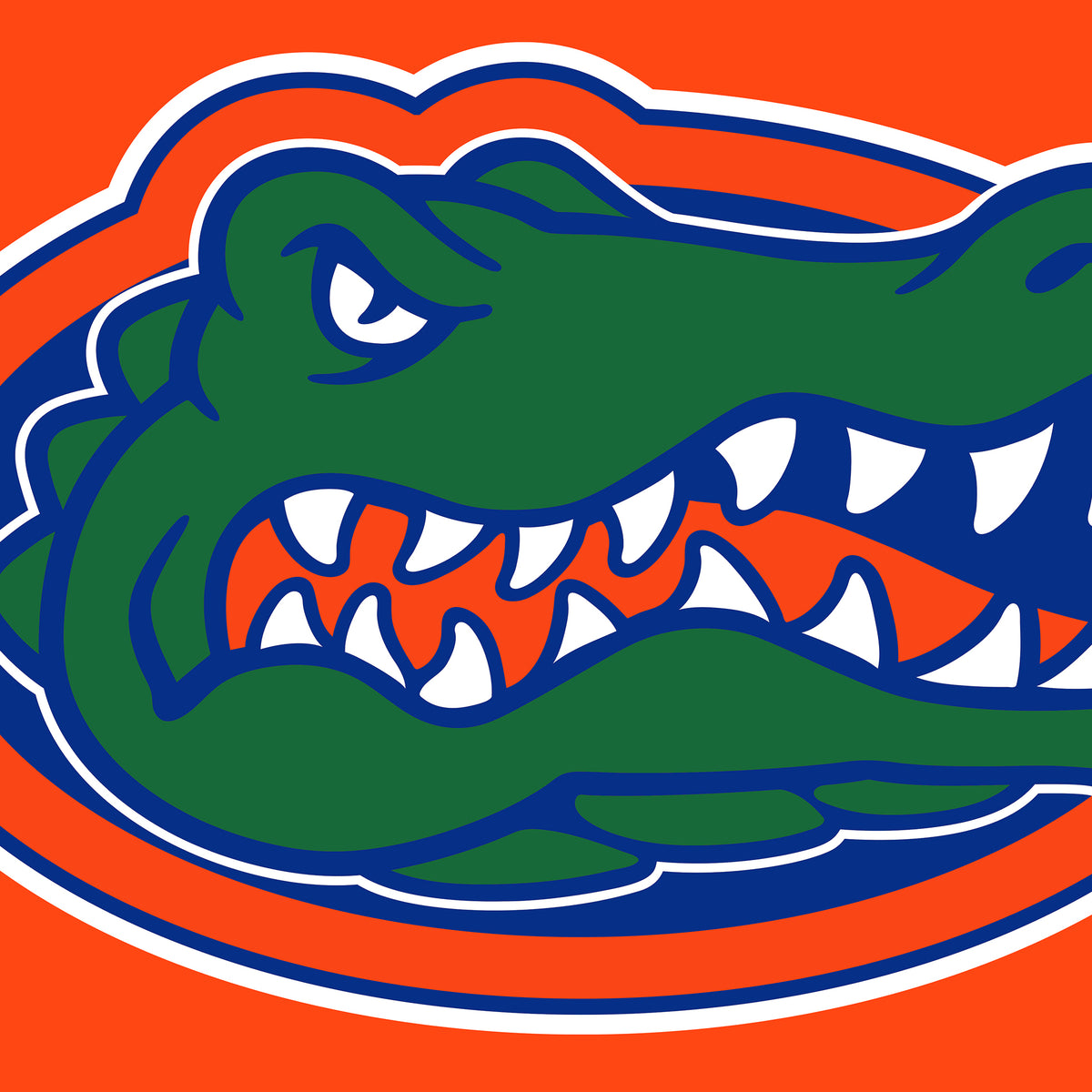 Florida This Is The Swamp