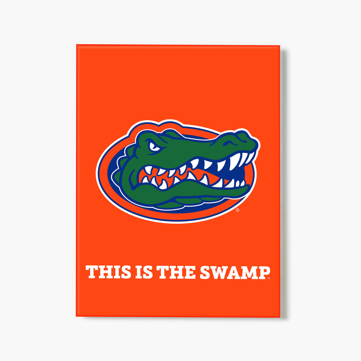 Florida This Is The Swamp