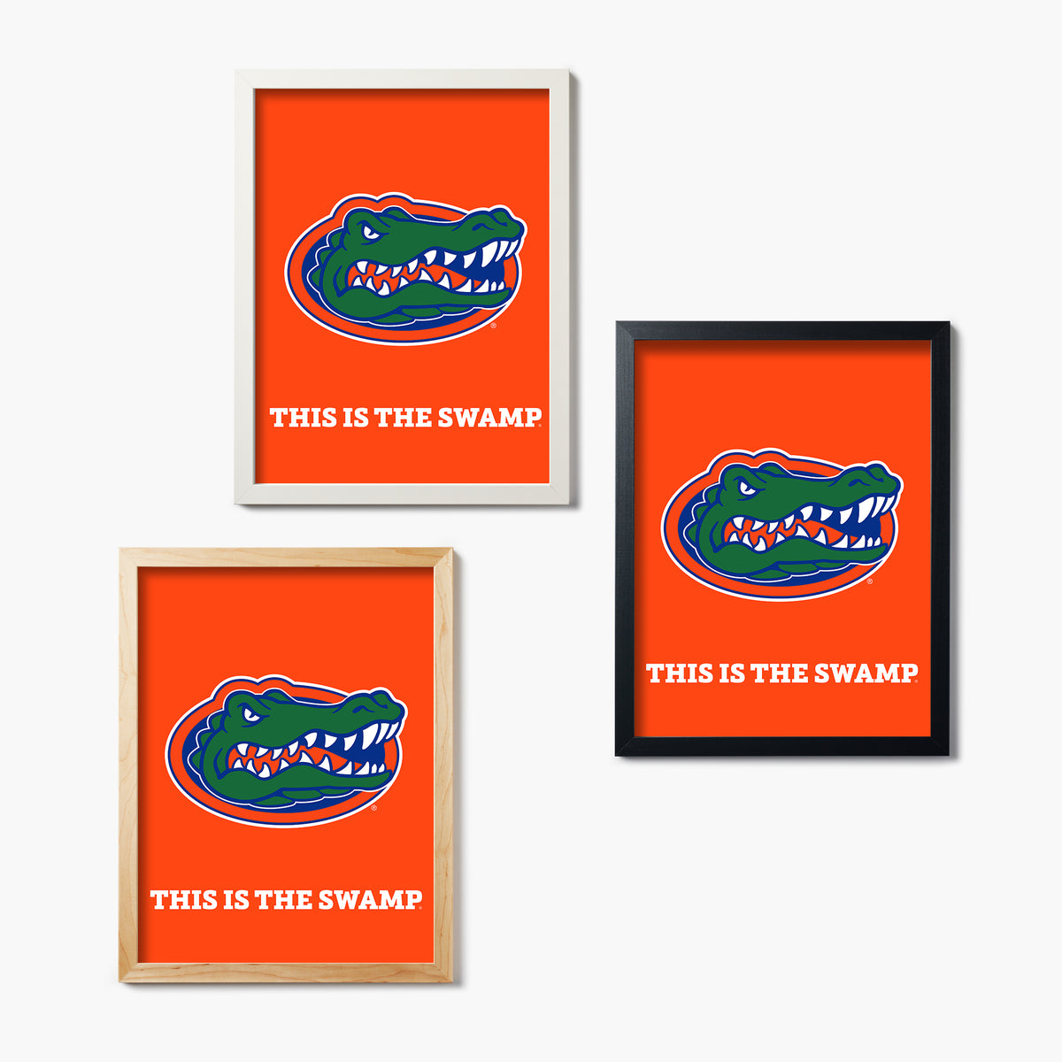 Florida This Is The Swamp