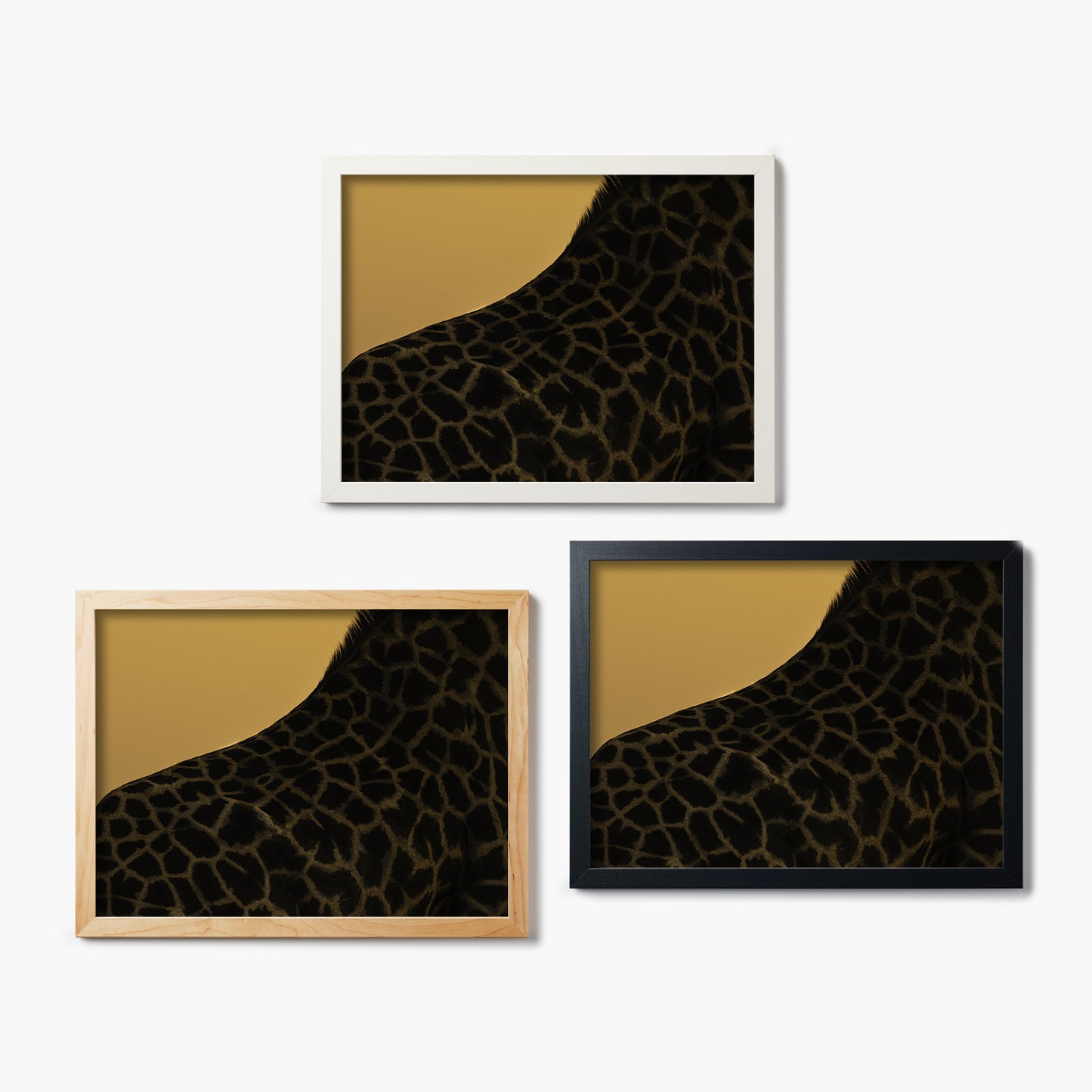 Golden Stretch