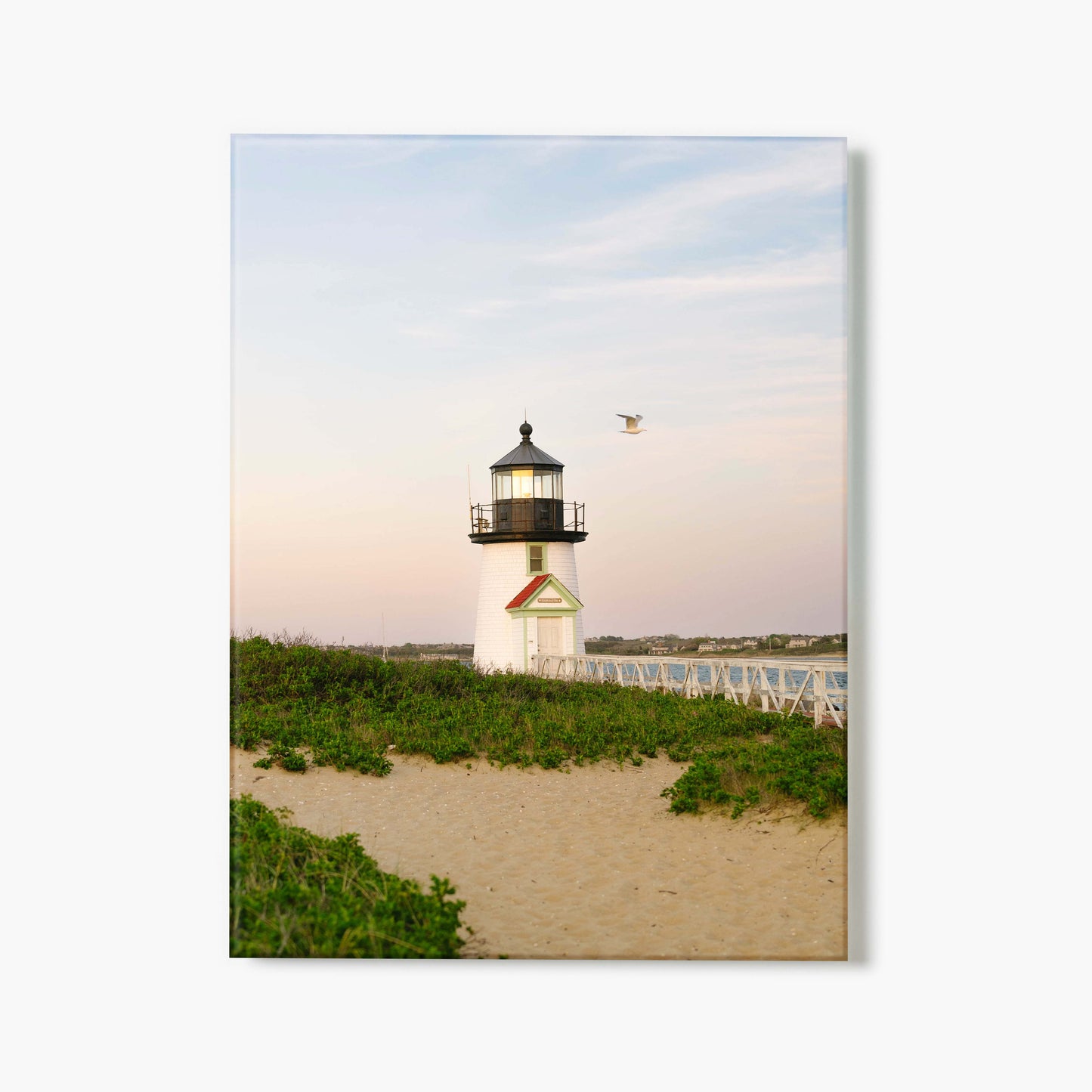 Guide Of The Cape