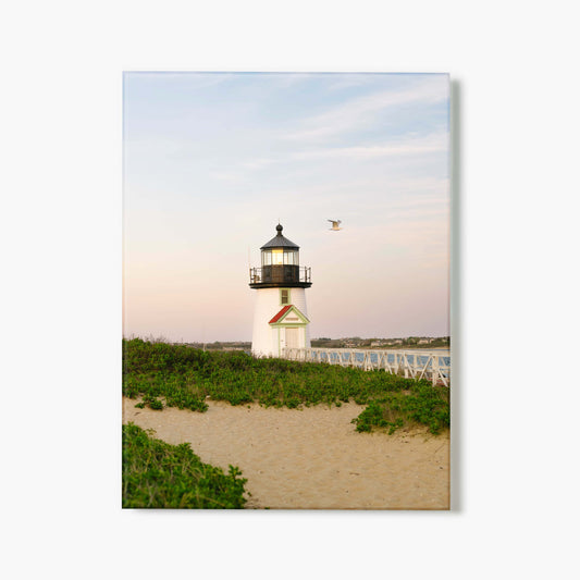 Guide Of The Cape