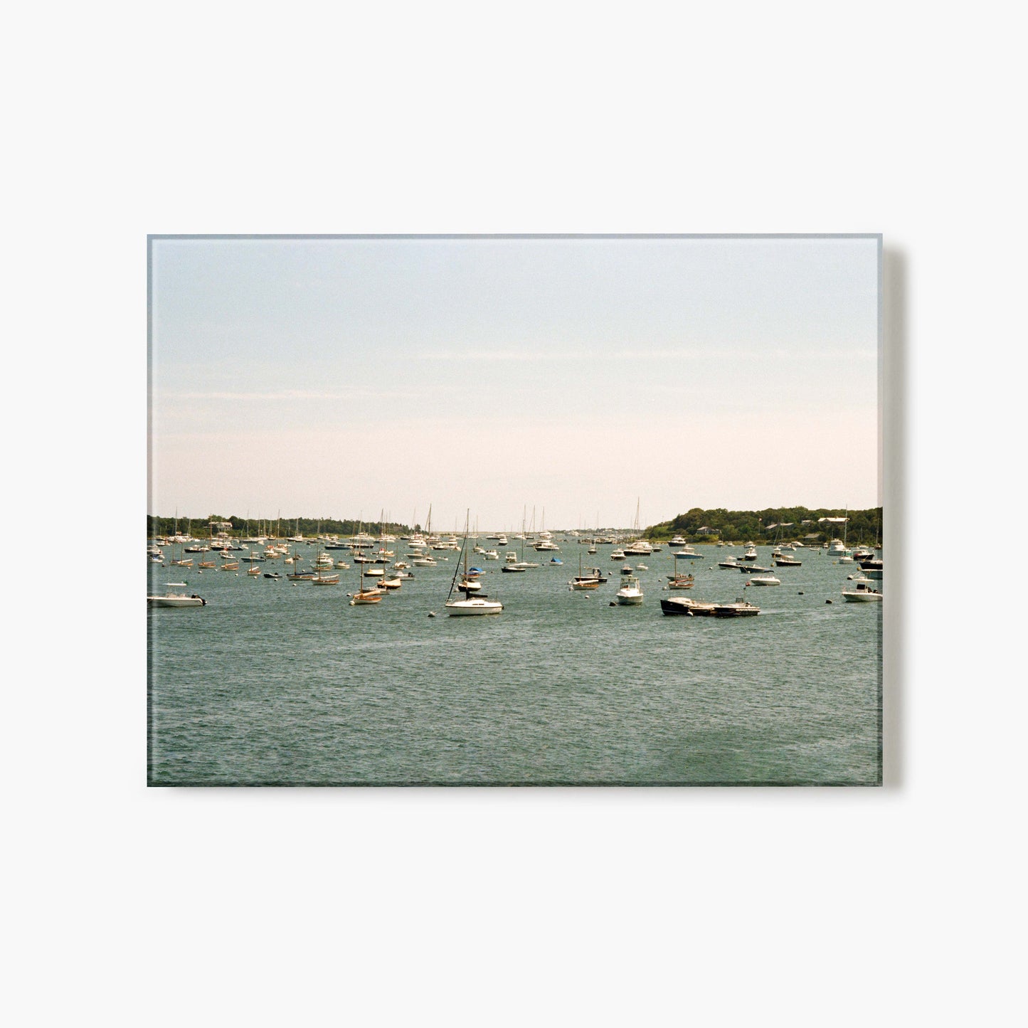 Harbor Haze