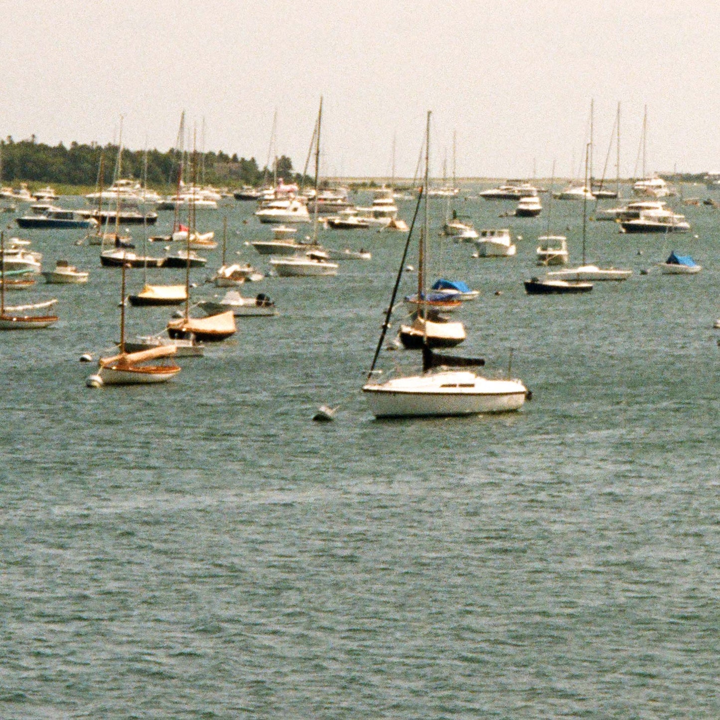 Harbor Haze