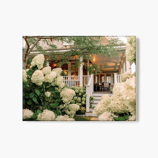 Hydrangea Haven