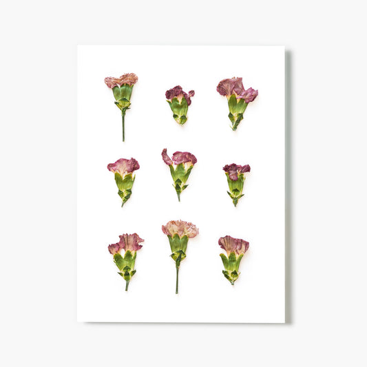 January Carnation No. 2 Pressed Floral Print