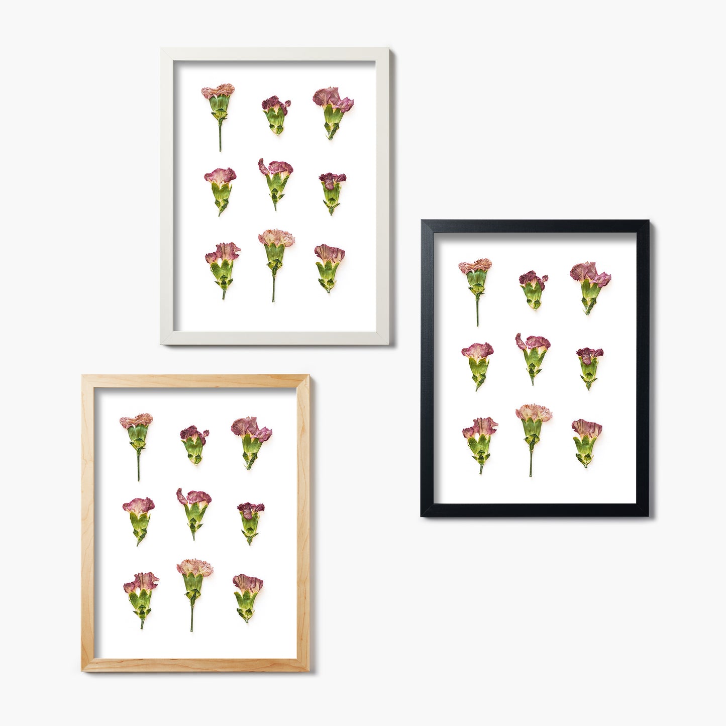 January Carnation No. 2 Pressed Floral Print