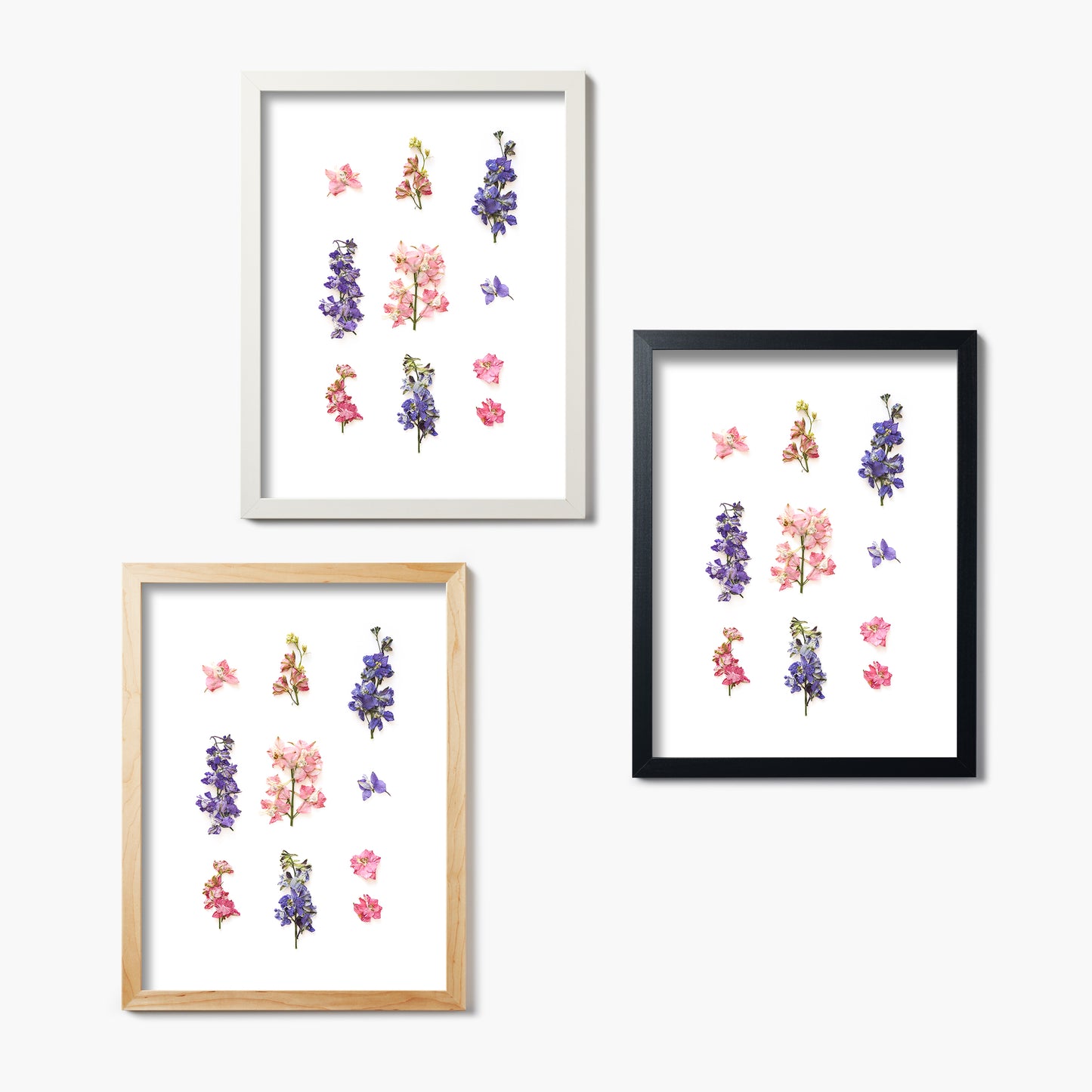 July Larkspur No. 2 Pressed Floral Print