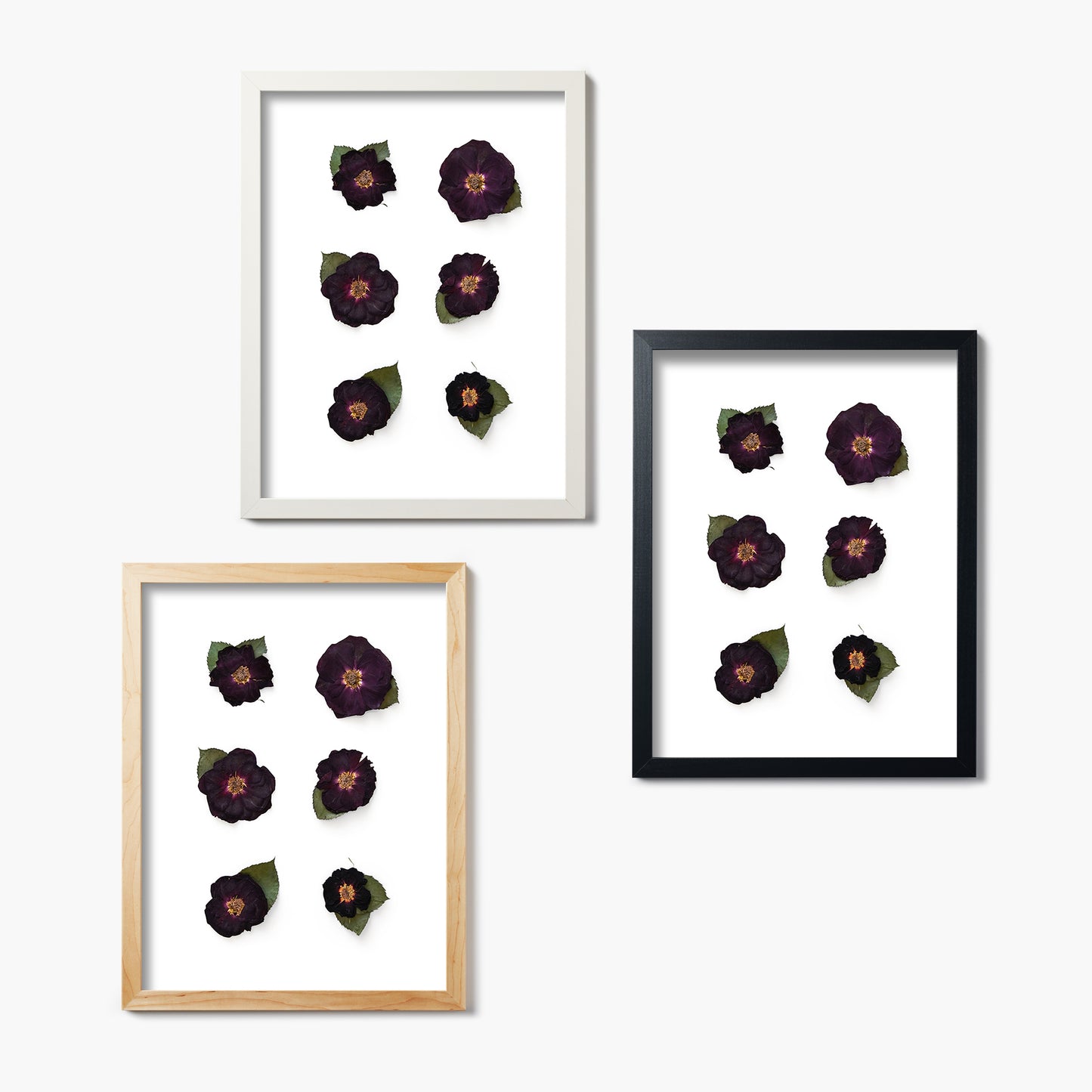 June Rose No. 2 Pressed Floral Print