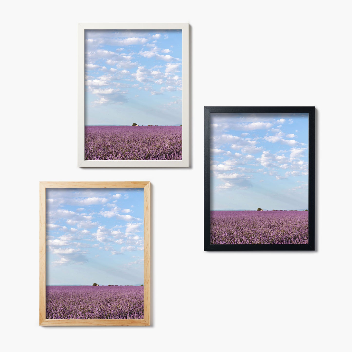 Lavender Skies