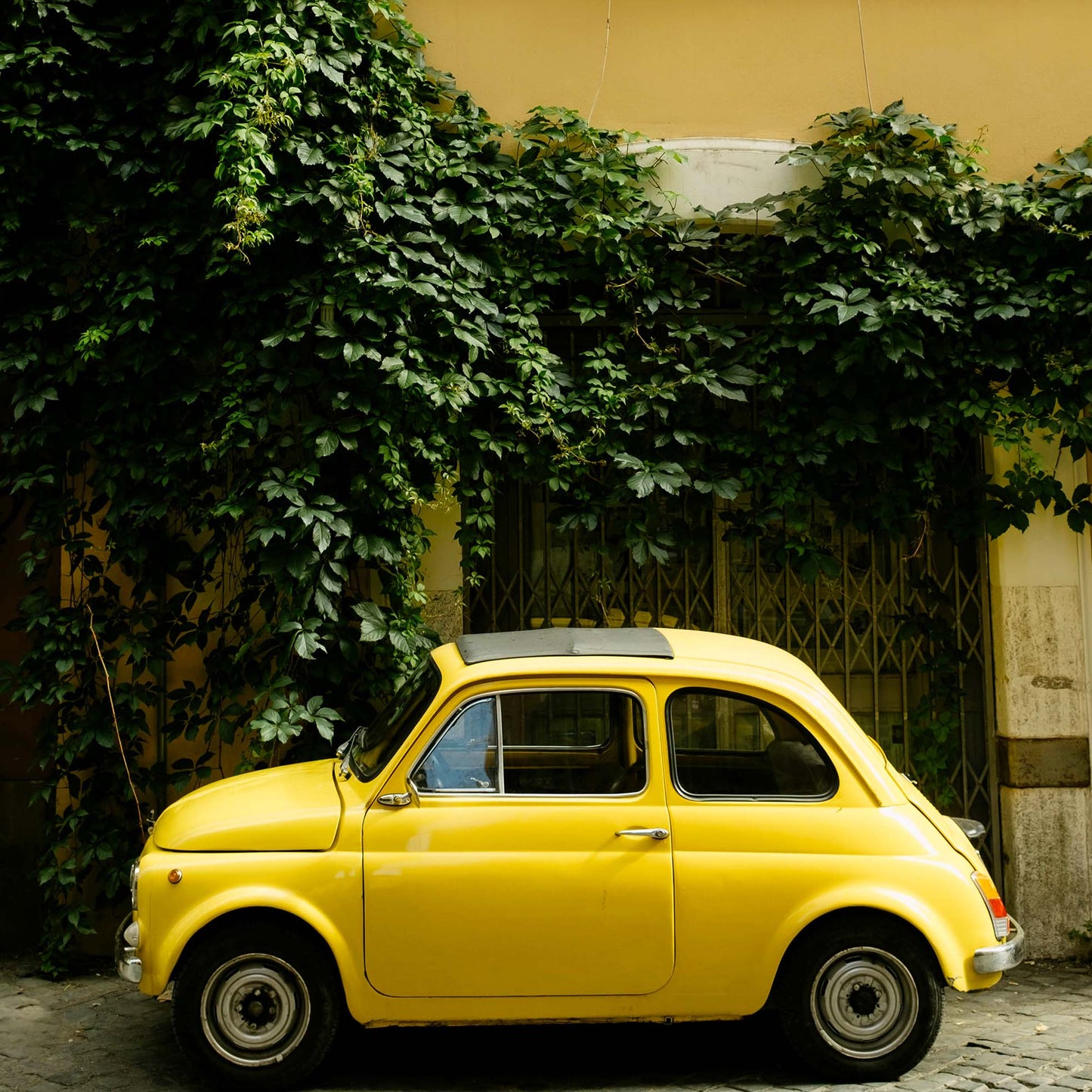 Limoncello Cruiser