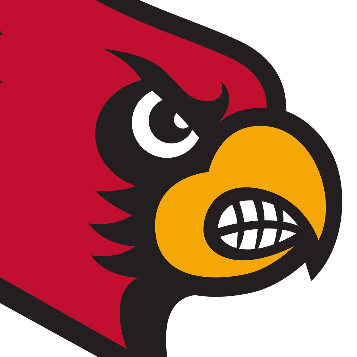 Louisville Cardinal