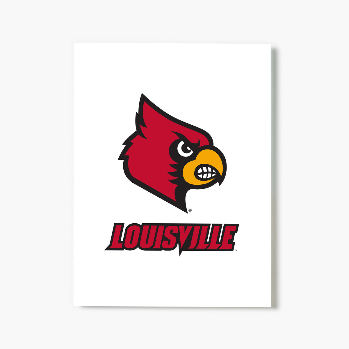 Louisville Cardinal