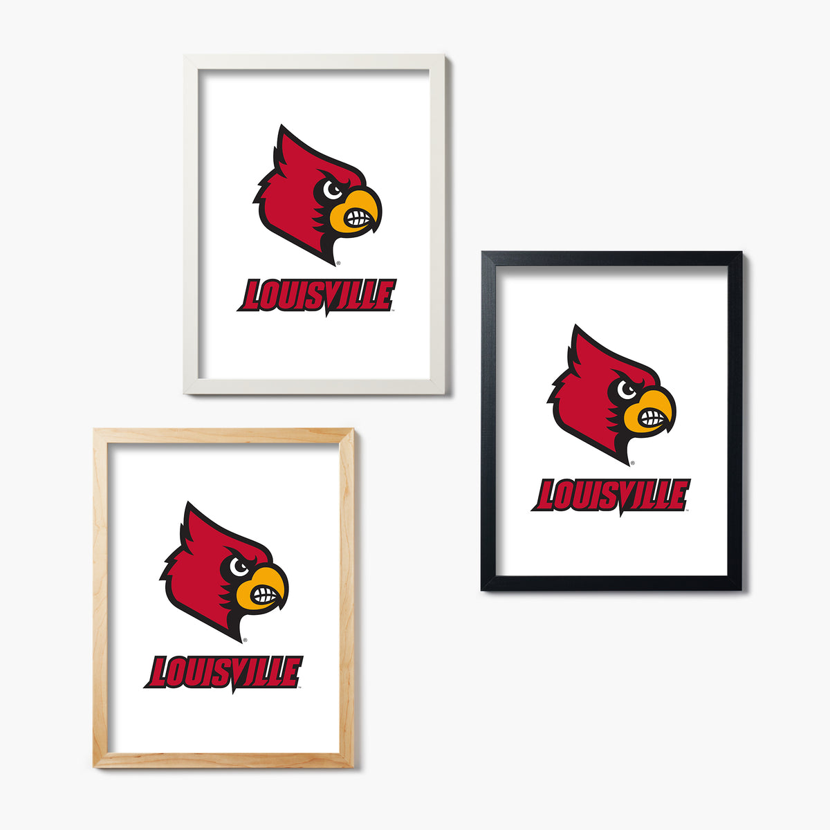 Louisville Cardinal