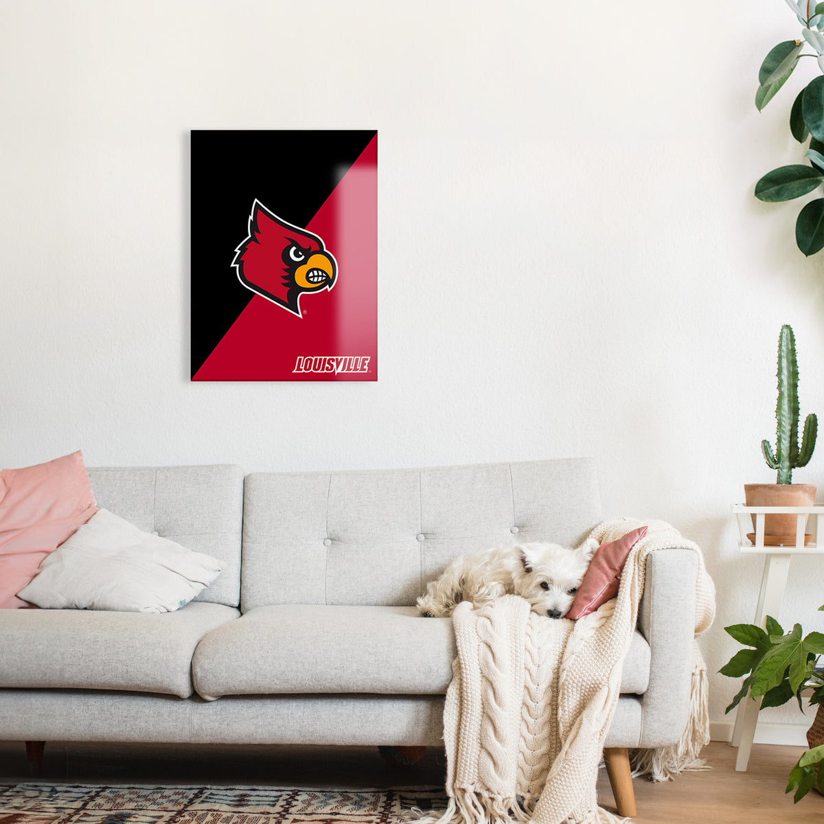 Louisville Cardinal Graphic