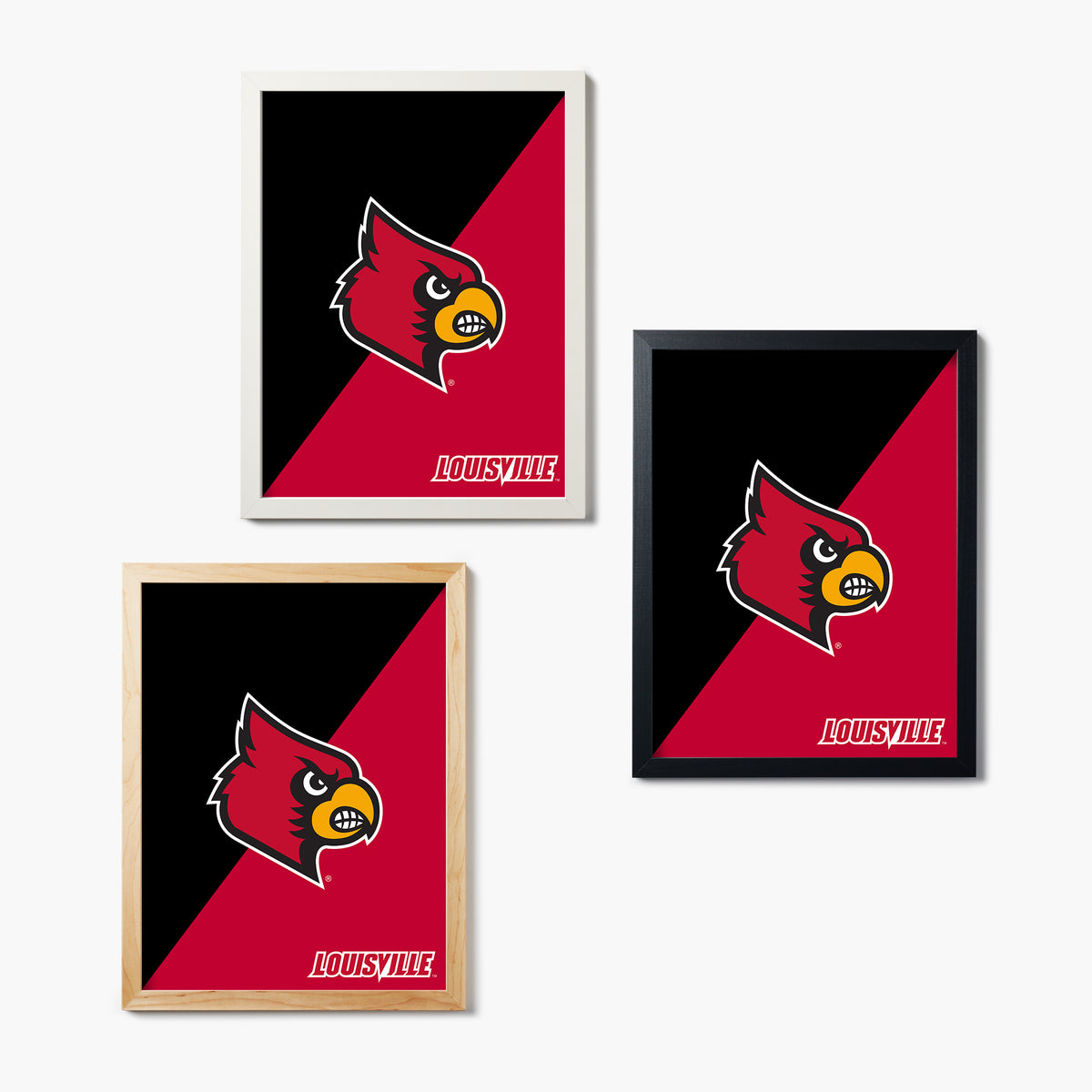 Louisville Cardinal Graphic