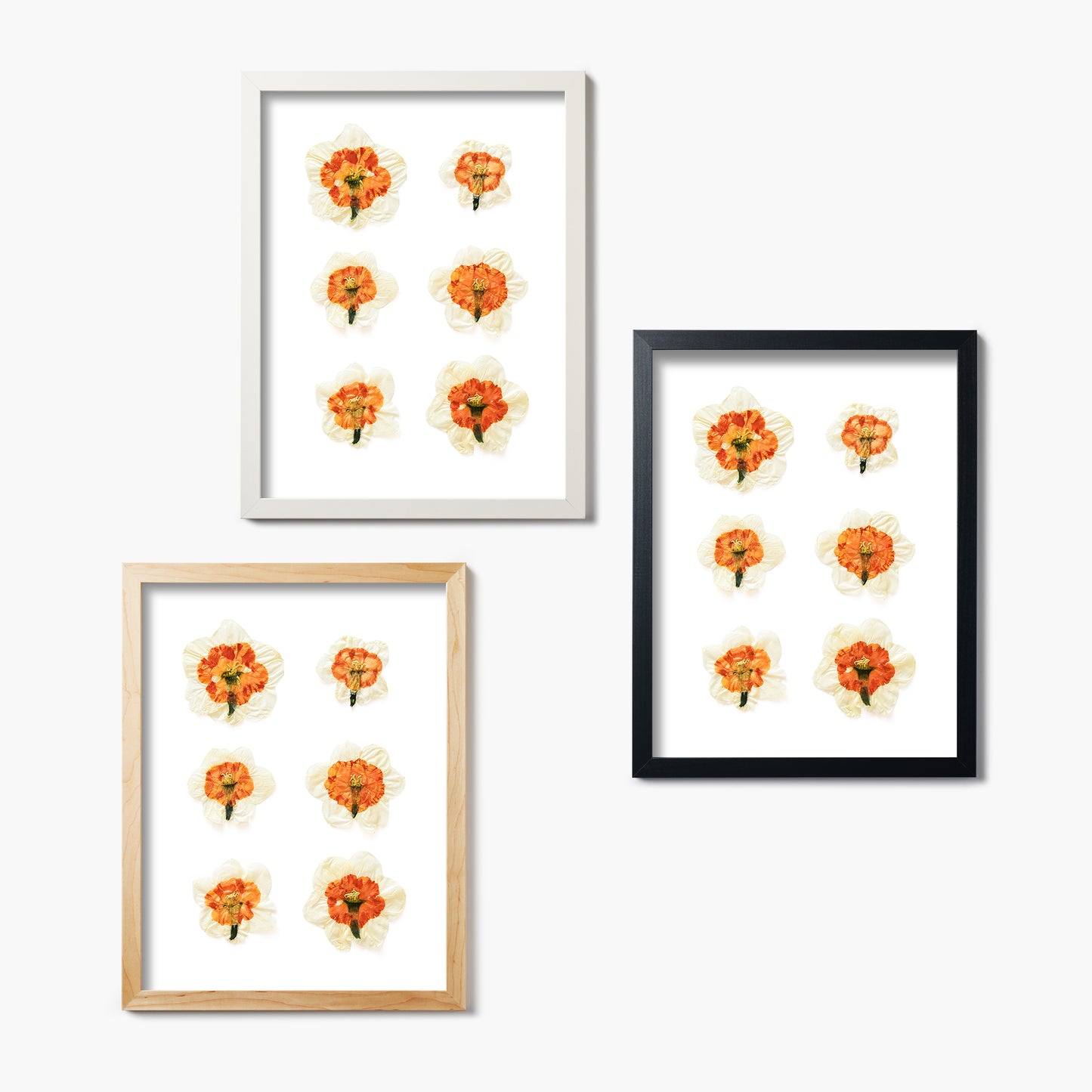 March Daffodil Pressed Floral Custom Name Print