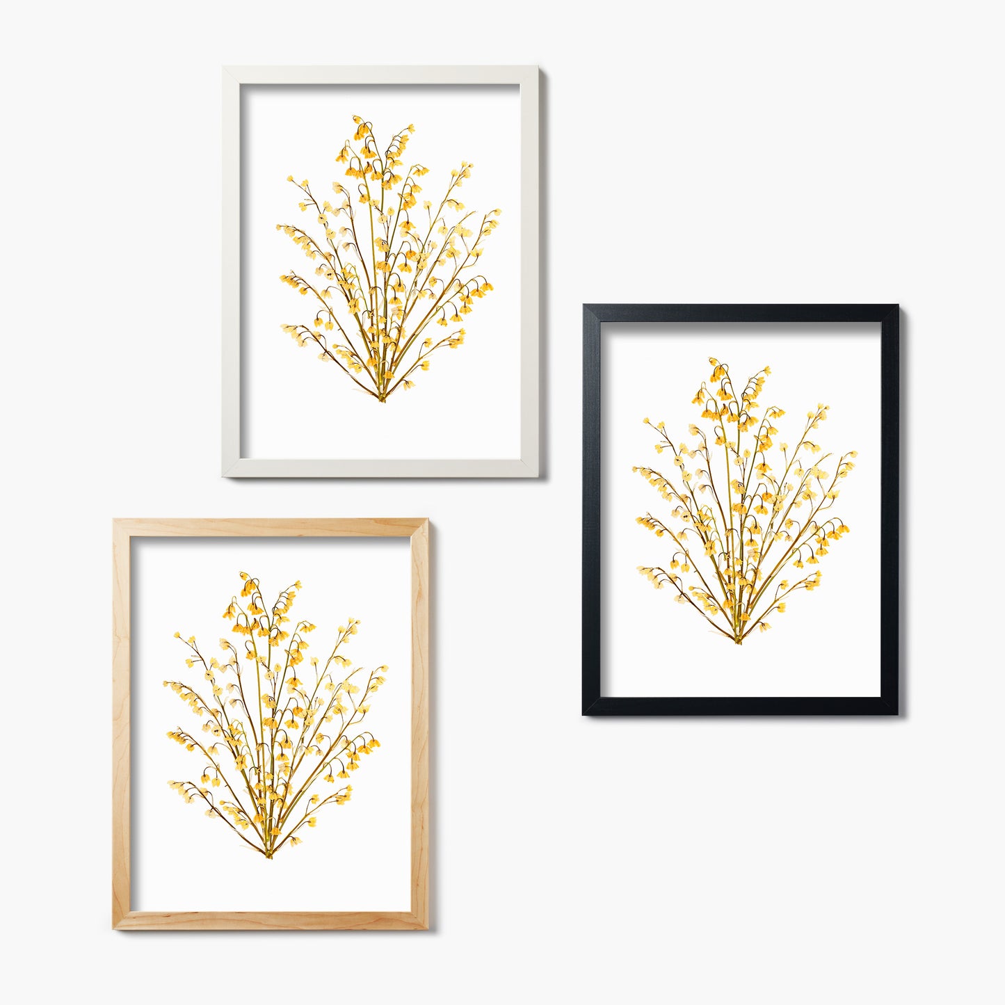 May Lily Of The Valley Pressed Floral Print