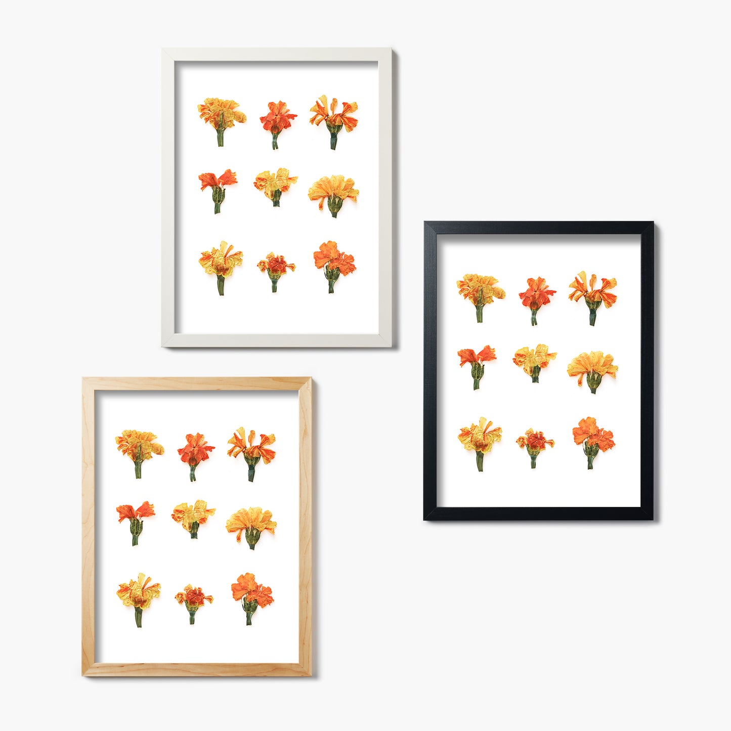 October Marigold No. 2 Pressed Floral Print