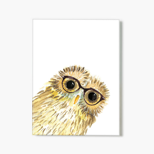 Owl in Glasses