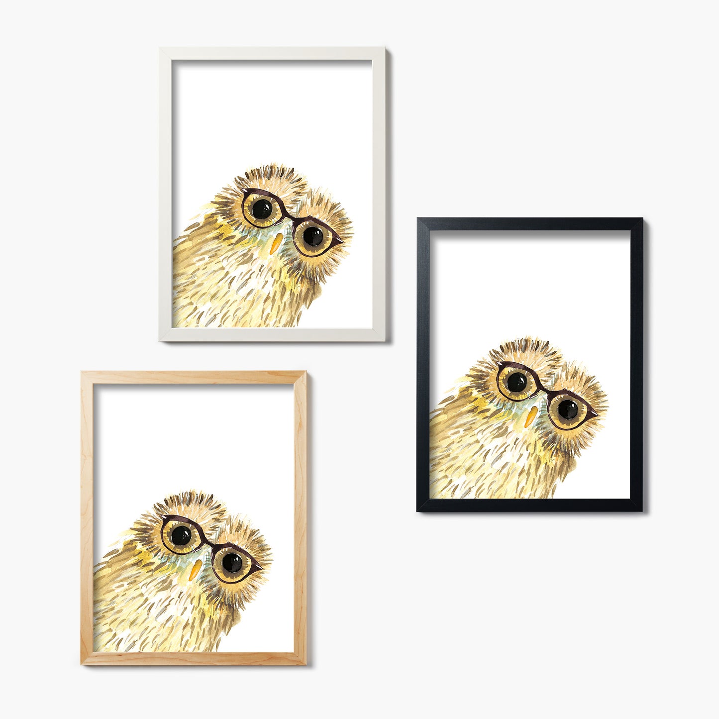 Owl in Glasses