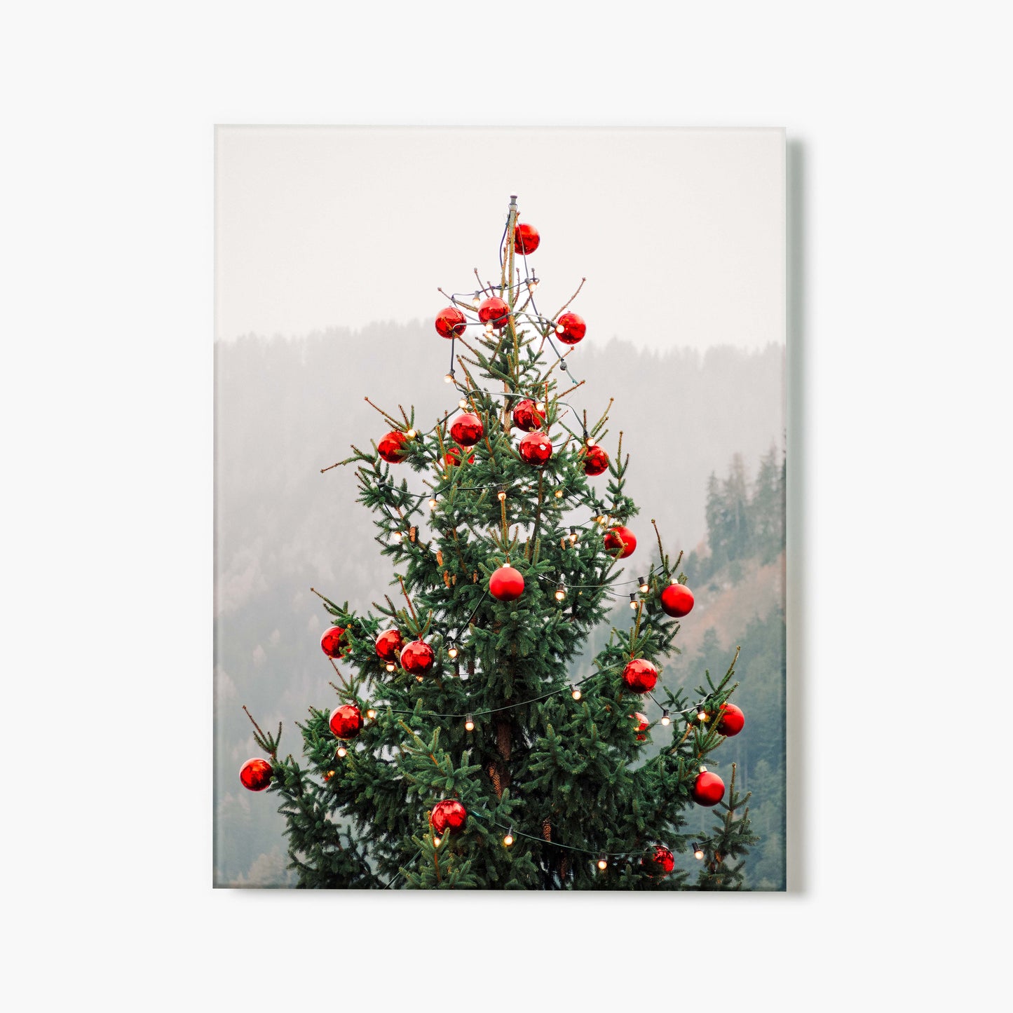 Red And Evergreen